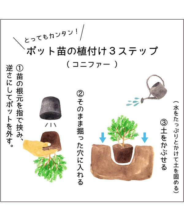 ポット苗の植え付け方