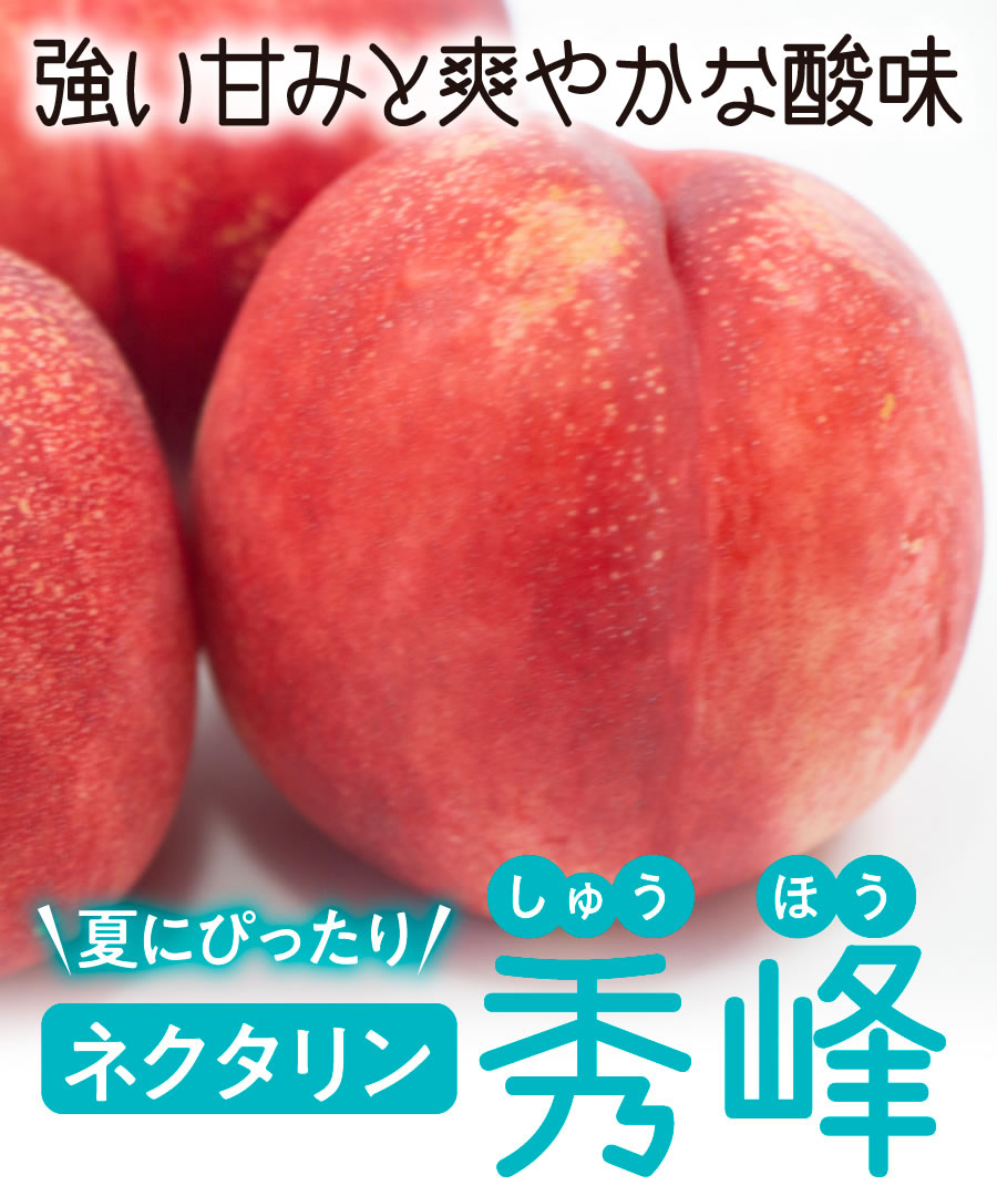 【桃苗木】【2年生苗】秀峰  高さ70cm～1.0m程度