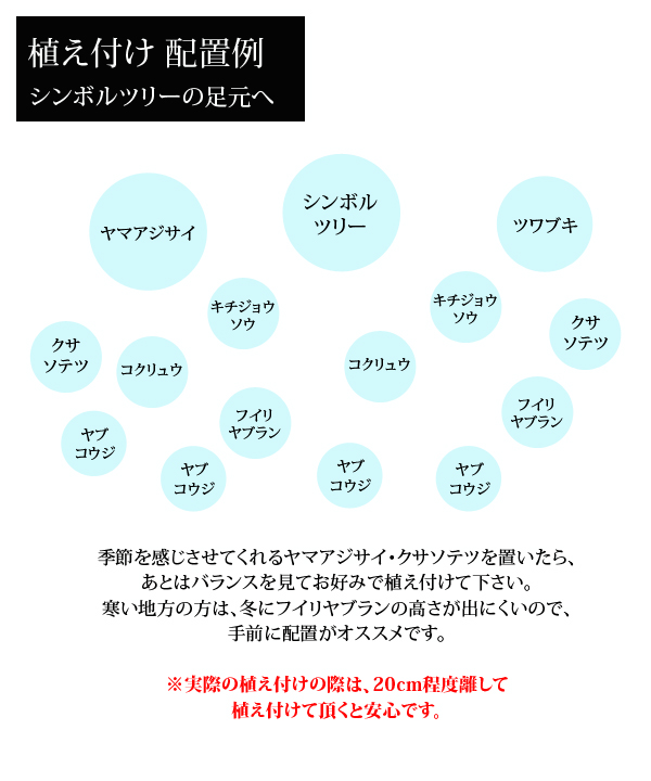 植え付け配置例~シンボルツリーの足元へ~