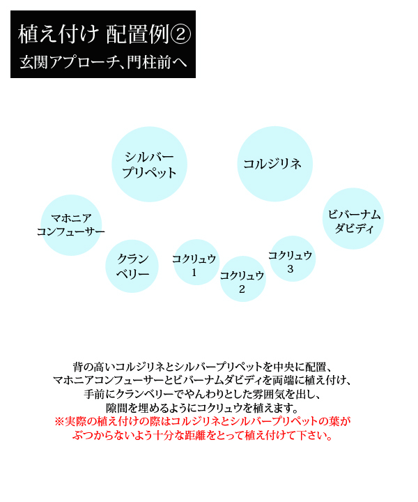 植え付け配置例②~玄関アプローチ、門柱前へ~