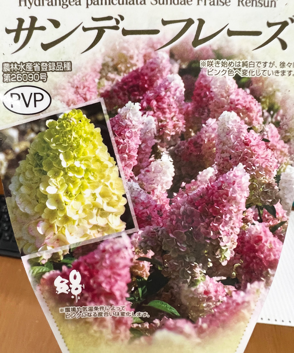 花