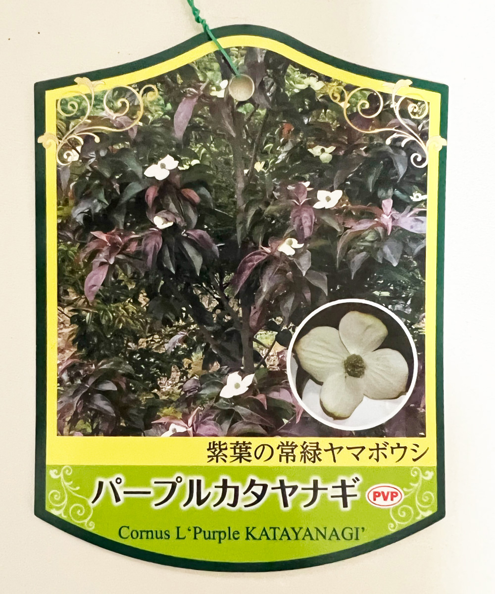 タグ