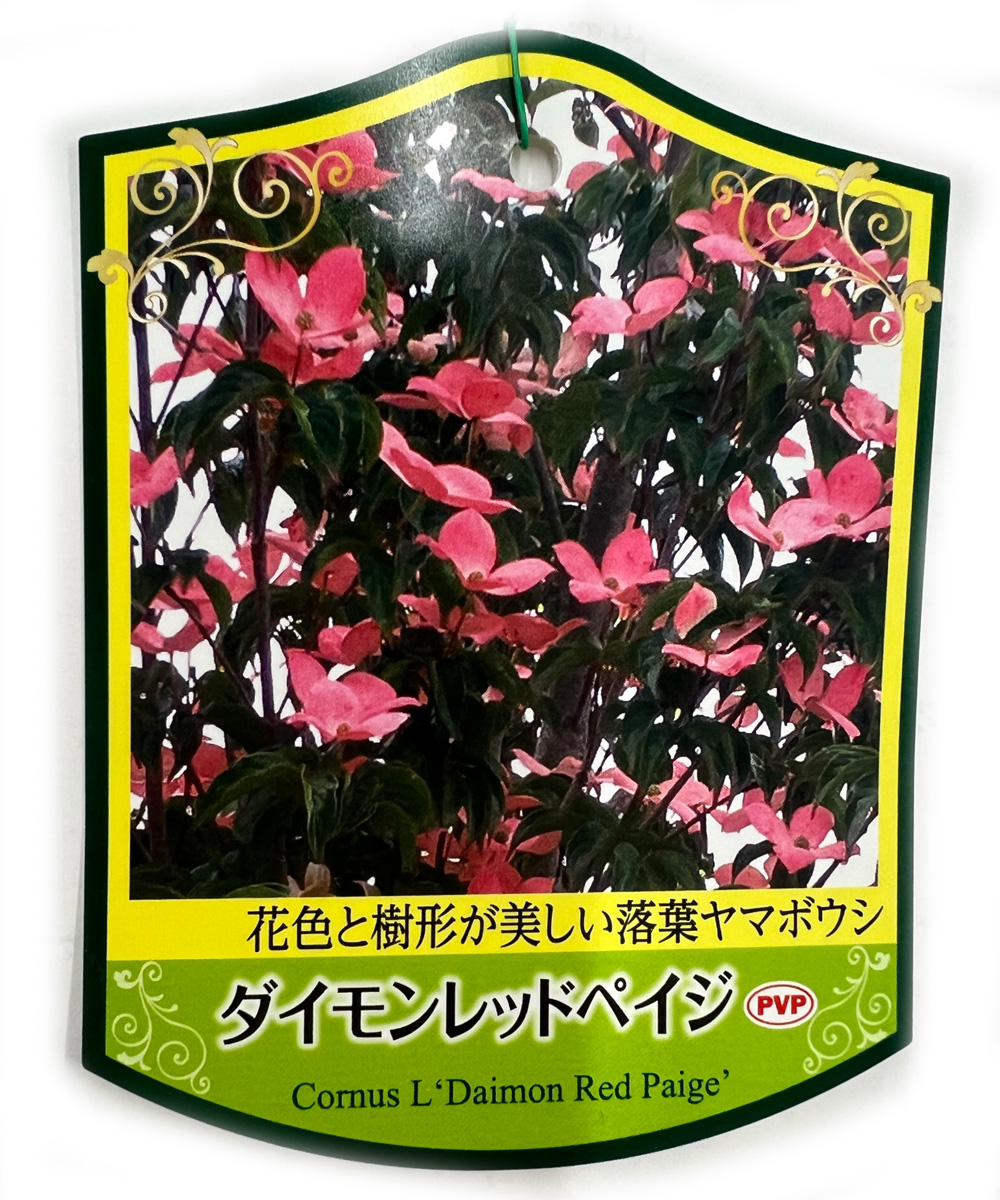 タグ