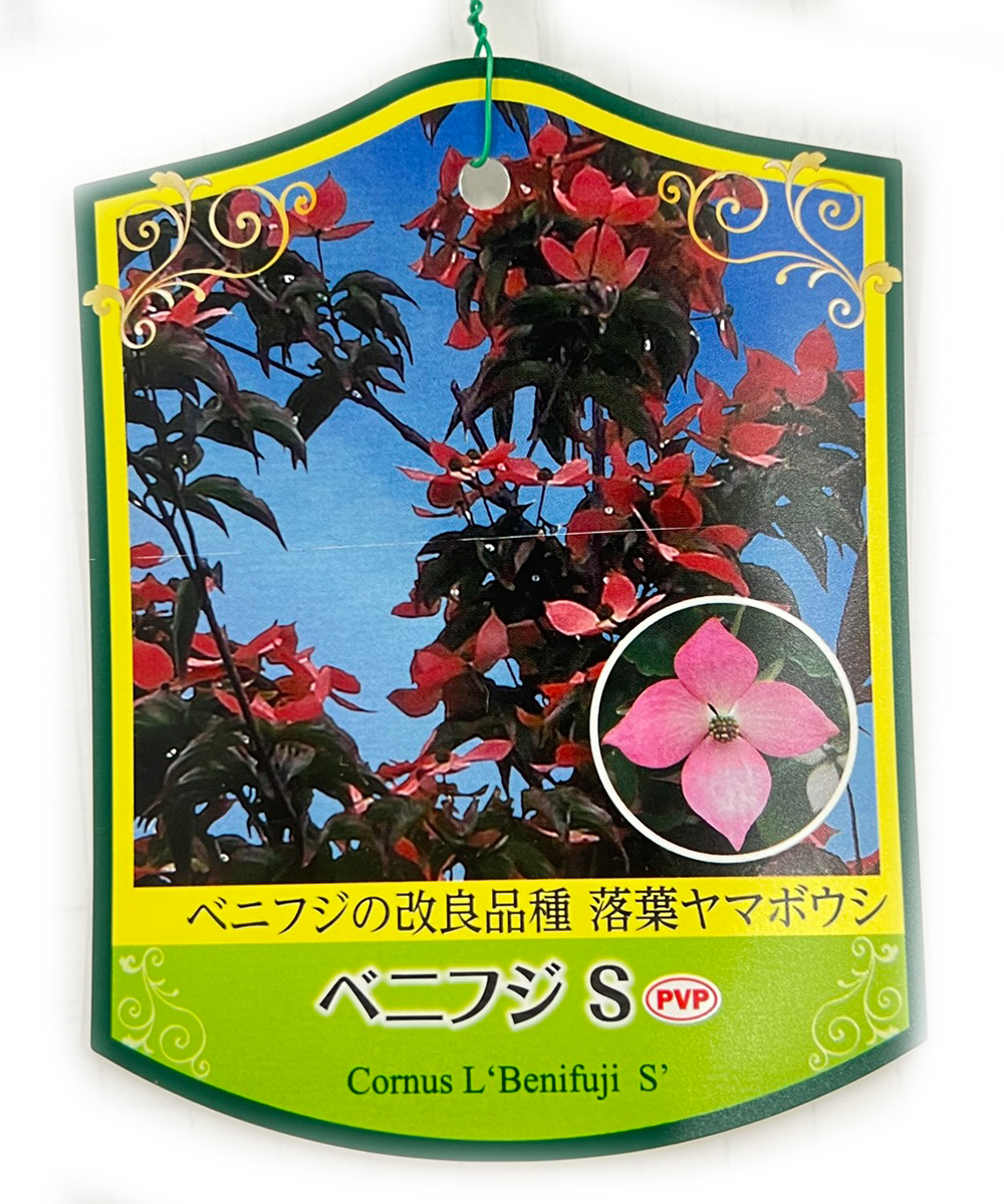 タグ