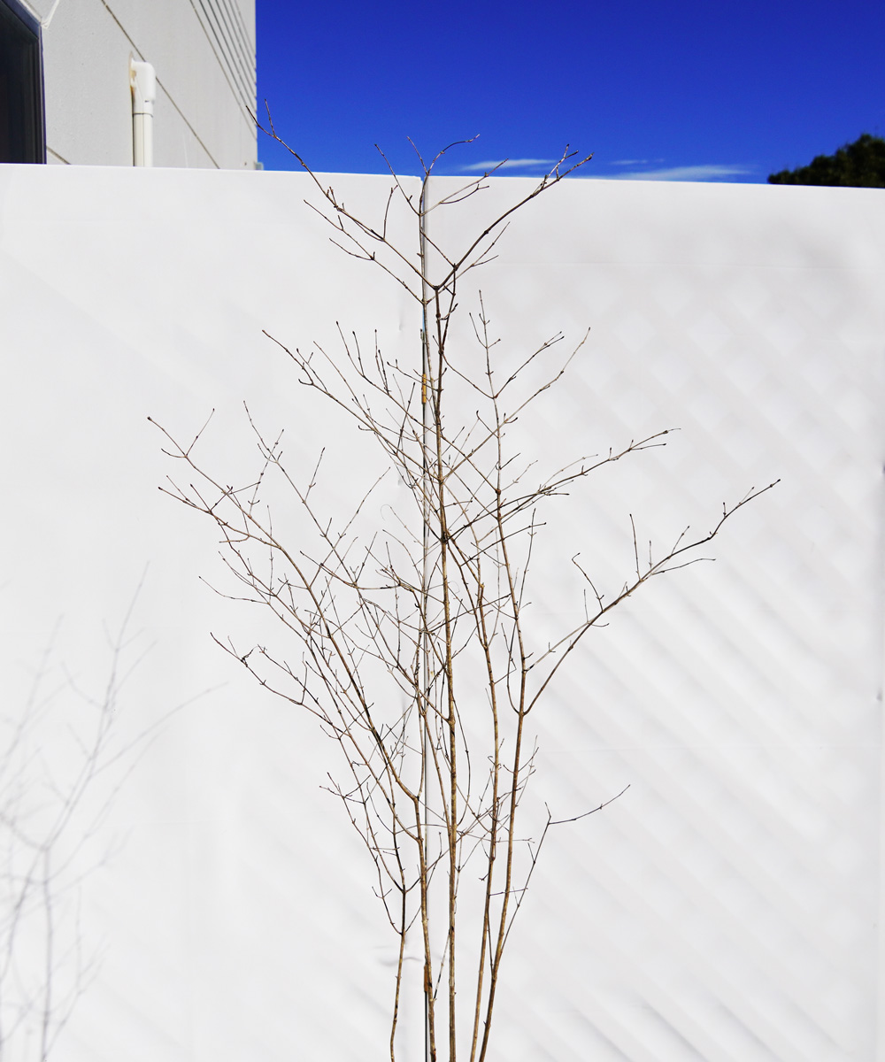 上部