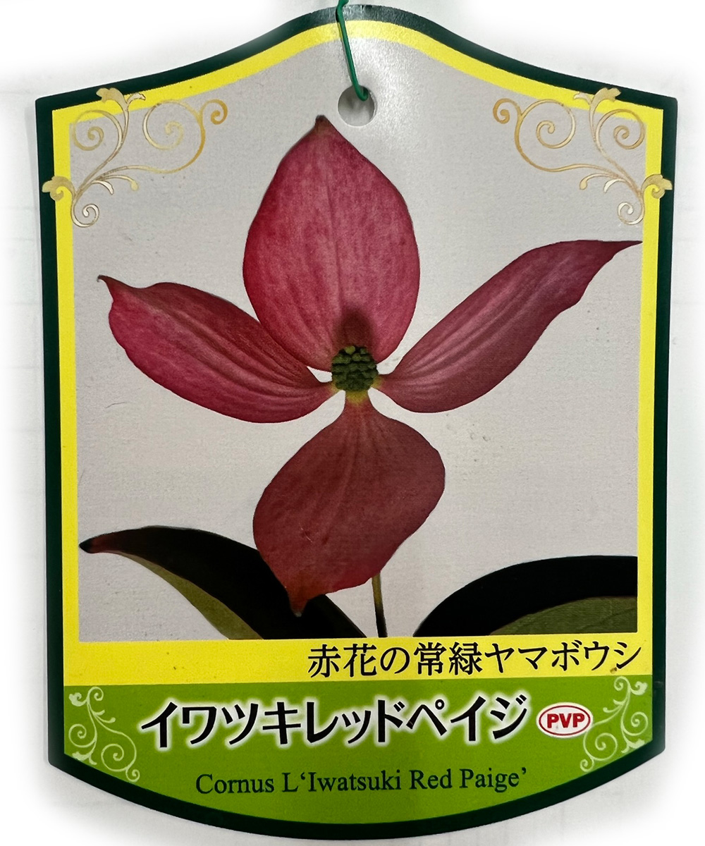 タグ
