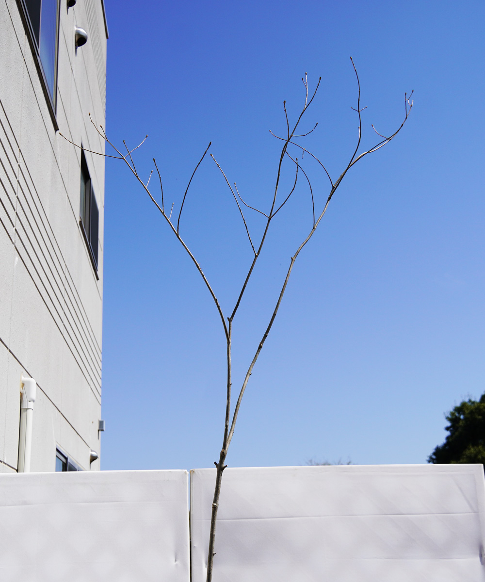上部
