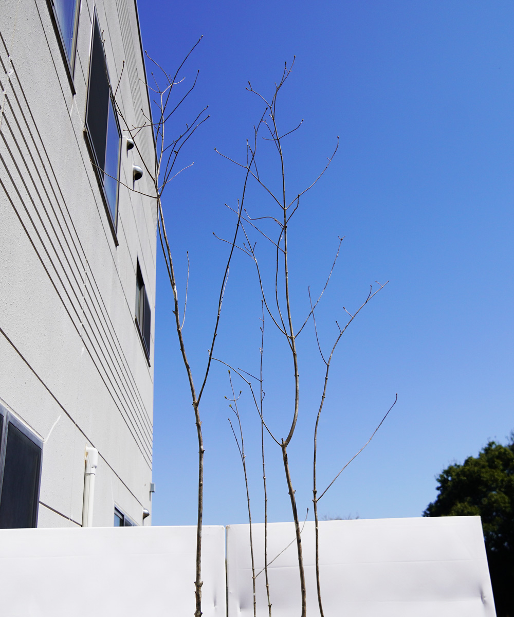 上部