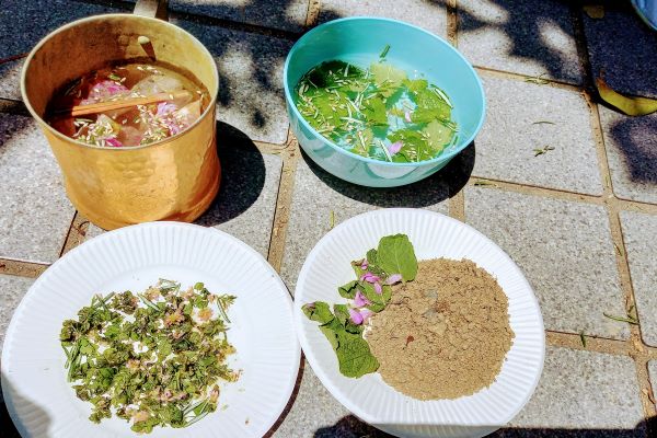 子どもが喜ぶお庭の植物：ミント：レモンバーム：ナスタチューム