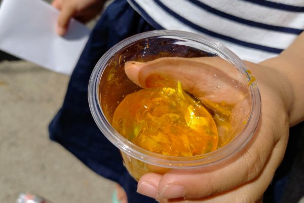 子どもが喜ぶお庭の植物：まとめ