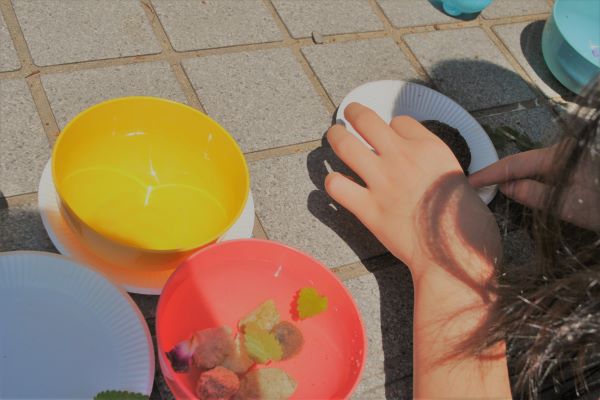 子どもが喜ぶお庭の植物：ハーブ