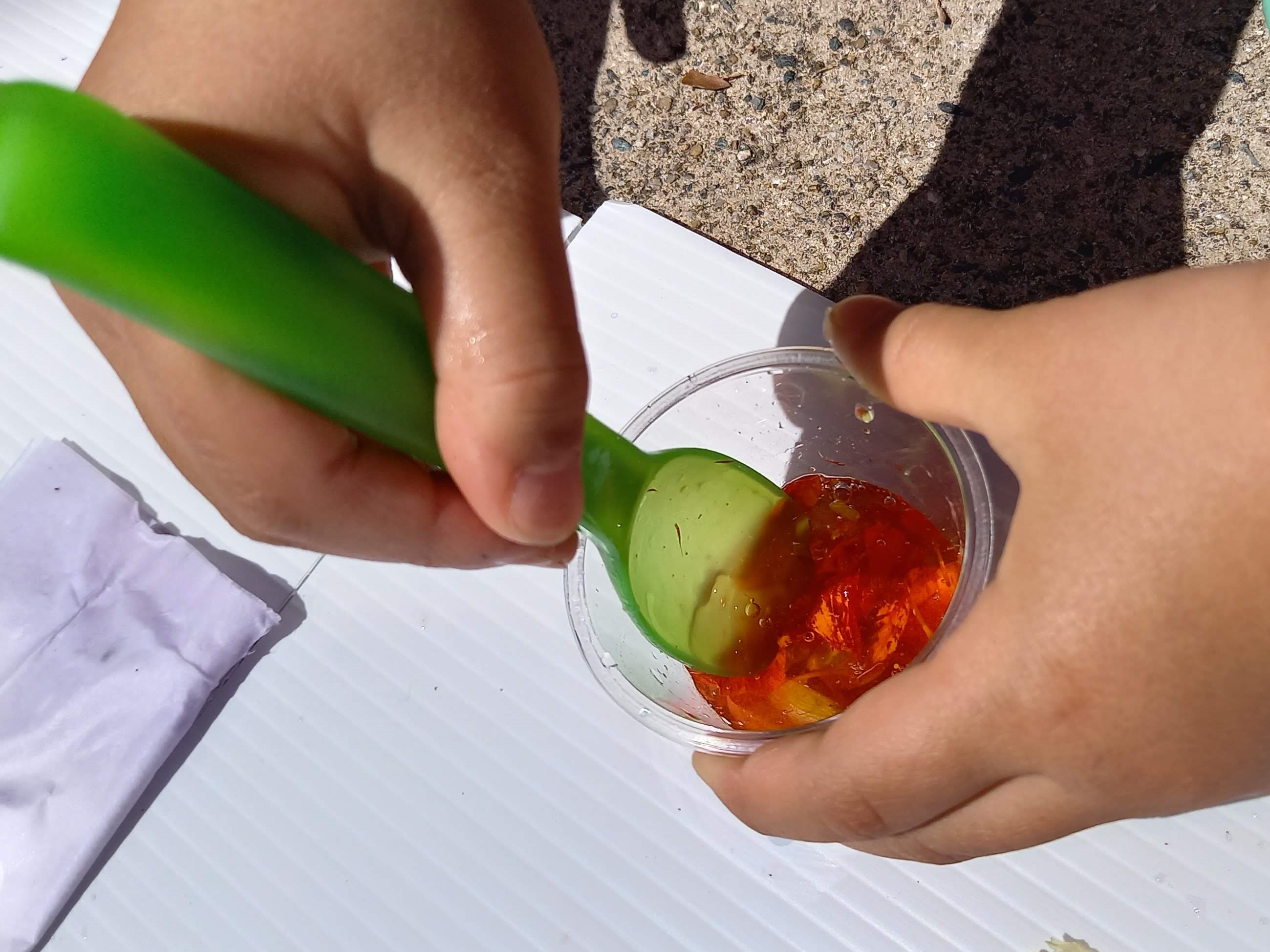 子どもが喜ぶお庭の植物：ミント：レモンバーム：ナスタチューム