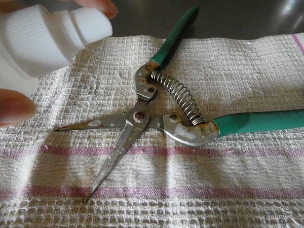 初心者でもできる剪定ばさみの手入れ方法：刃物クリーナーをかけた剪定ばさみ