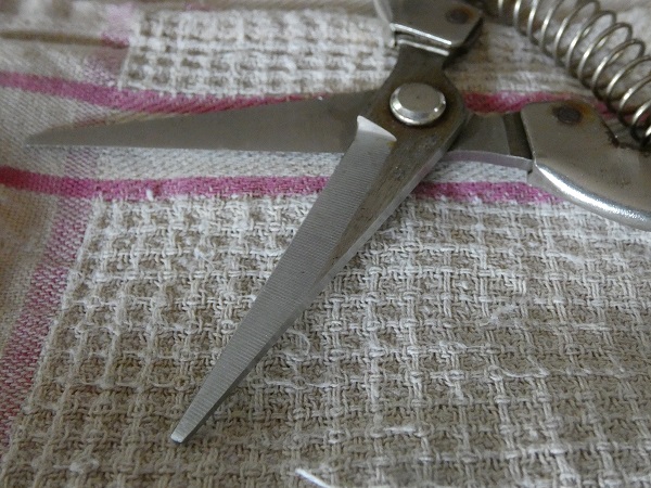 初心者でもできる剪定ばさみの手入れ方法：刃物クリーナーでキレイになった剪定ばさみ