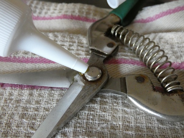 初心者でもできる剪定ばさみの手入れ方法：剪定ばさみに潤滑油を塗布