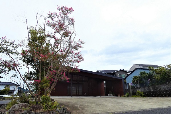 長期で花が楽しめるサルスベリ：シンボルツリーのサルスベリ