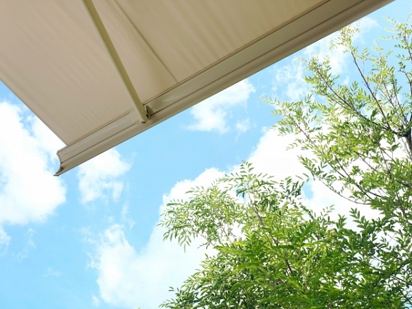 庭木剪定：シマトネリコとオーニング