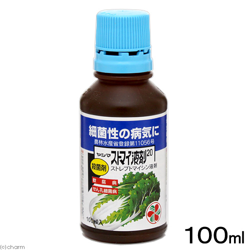 ジベレリン処理のポイント:ストマイを使おう