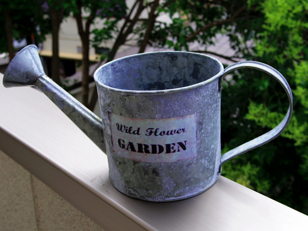 ポポーの育て方:水やりの方法