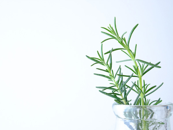 ローズマリーの香り