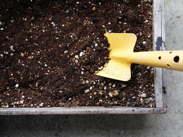 オタフクナンテンの育て方:用土