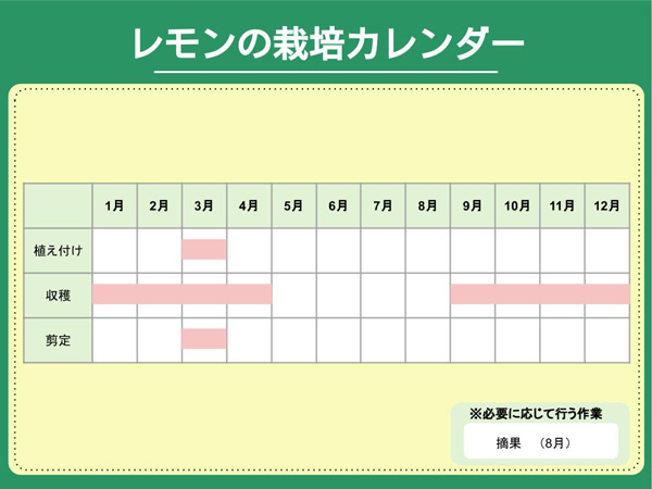 レモンの育て方:栽培カレンダー