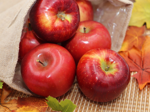 リンゴの育て方:まとめ