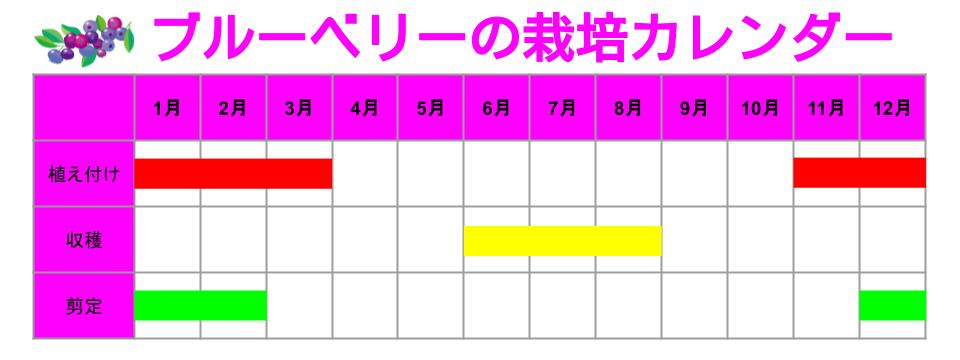 ブルーベリーの育て方:栽培カレンダー