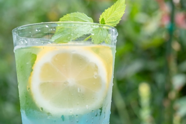 夏を楽しむハーブ