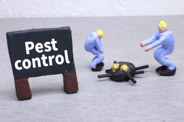 ハーブ：ゴキブリ対策