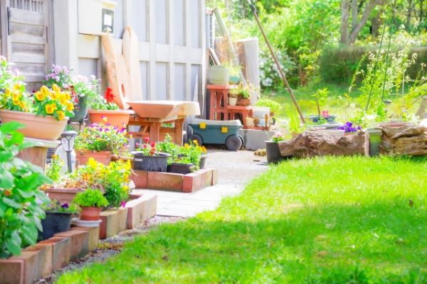 葉が珍しい：虫除け：まとめ